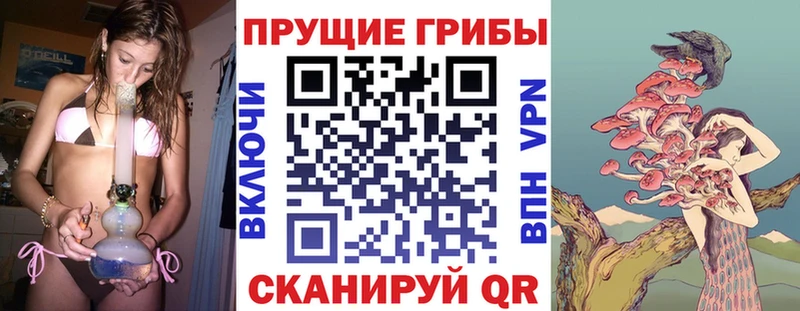 маркетплейс Telegram  Далматово  Галлюциногенные грибы Psilocybine cubensis 