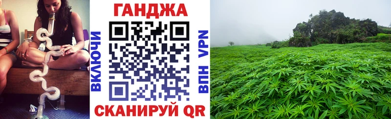 OMG ссылка  Далматово  Бошки Шишки марихуана  где найти  